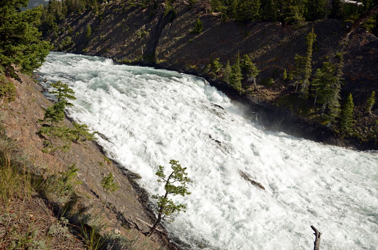 37 Banff Bow Falls Close Up In Summer